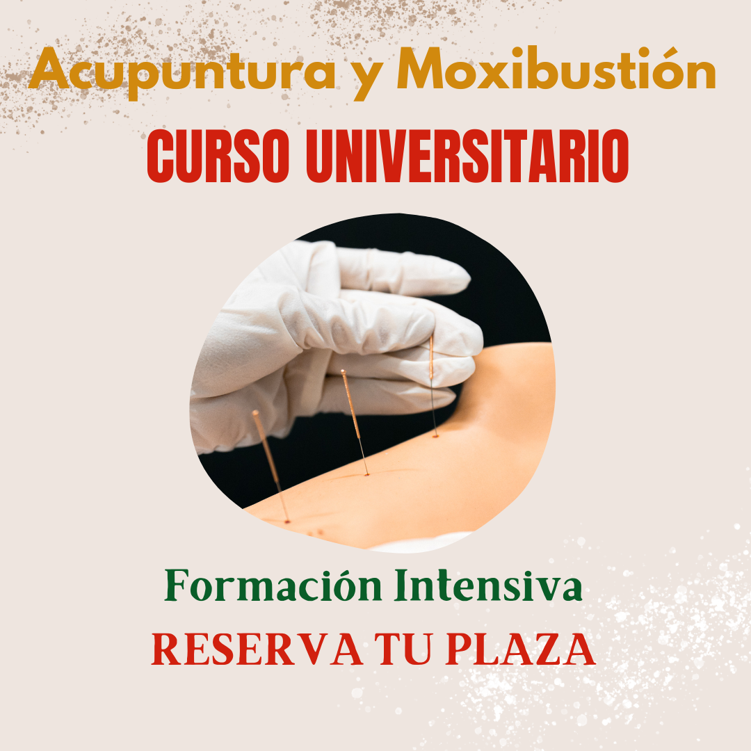 Curso de acupuntura Online y presencial Universitario